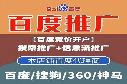 百度竞价排名服务的广告投放技巧与策略